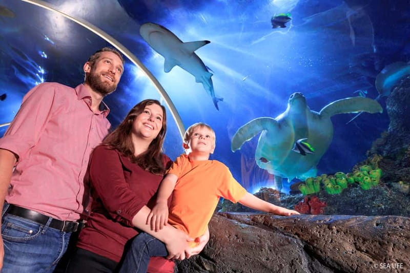 Ticket to SEA LIFE Konstanz - Interactive exhibits for younger children