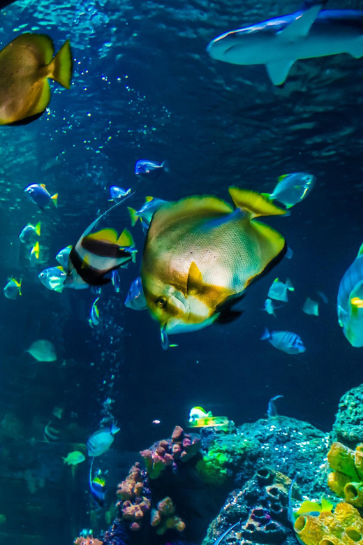 Timmendorfer Strand: SEA LIFE Behind the Scenes Tour - Entering the Working Areas Behind the Tanks