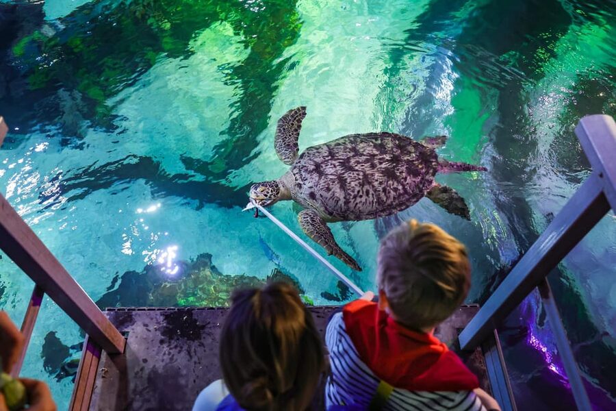Timmendorfer Strand: SEA LIFE Behind the Scenes Tour - A Calm Tour With Time for Questions