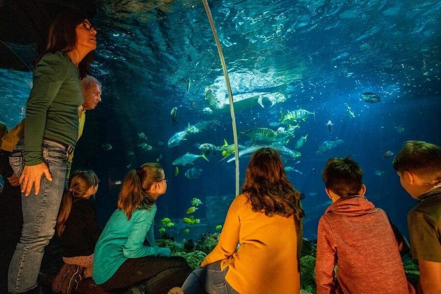 Timmendorfer Strand: SEA LIFE Behind the Scenes Tour - How to Plan the Visit