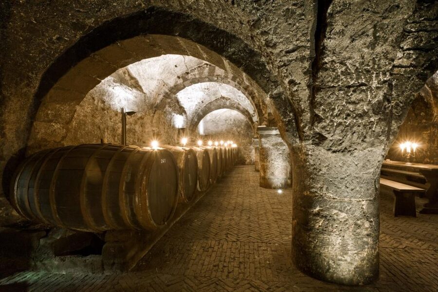 Trier: Discovery Tour – Germany's Oldest Wine Cellar - Is $20 a fair price for one hour?