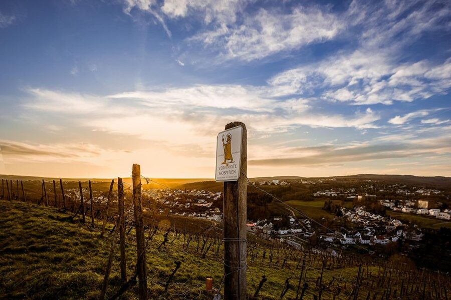 Trier: Discovery Tour – Germany's Oldest Wine Cellar - What the one-hour visit actually includes