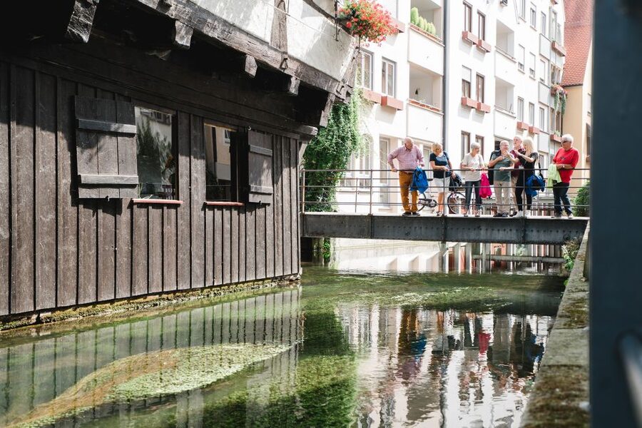 Ulm: City Center Walking Tour with Minster Visit - Who will get the most from 90 minutes?